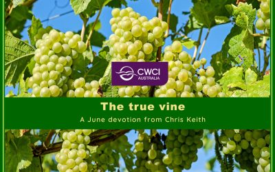 The true vine